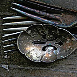 Elizabeth’s Blog
